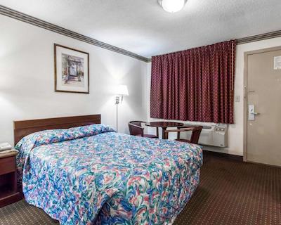 اکنو لج اُپلیکا