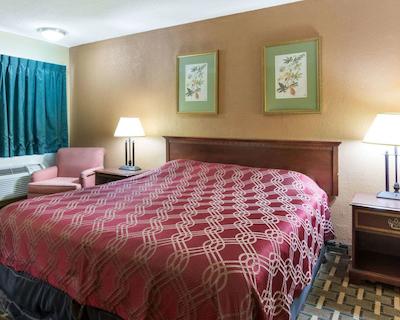 اکنو لج تون سنتر