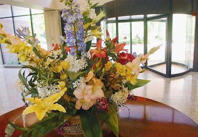 ترومبول ماریت مریت پارکو