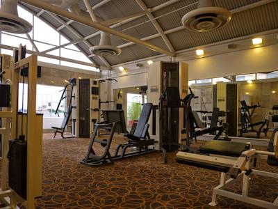 فیستا امریکانا رفرما