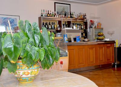 پیکسلو پارادیسُ