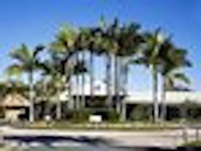 ایوری پالمز ریزرت