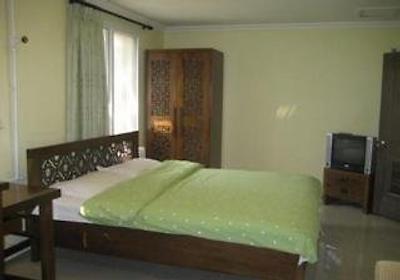 هپی دراگون ساگا یوت هاستل