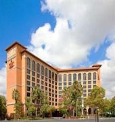 انا کرون پلازا نییگاتا