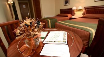 دیگو د آلماگرو