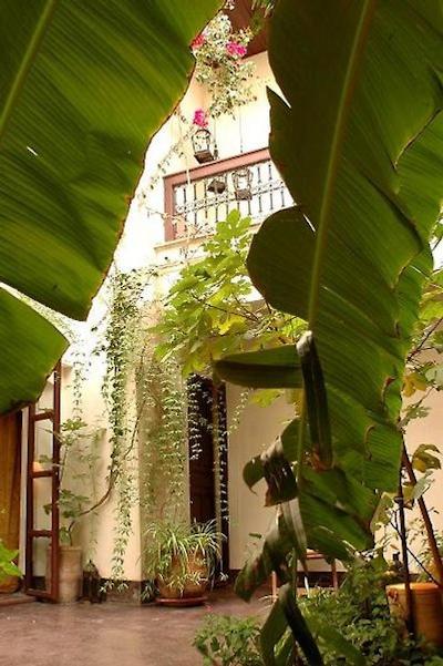 ریاد دار امان