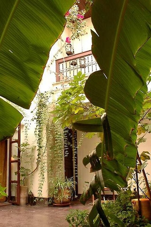 ریاد دار امان