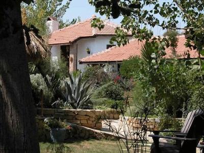 بکهوس گوست هاوس