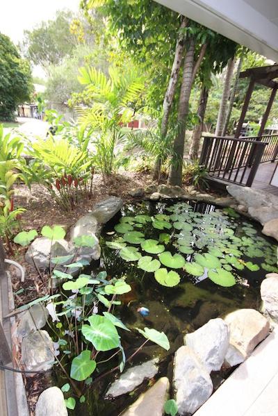 هیبیسوز ریزرت اند اسپا