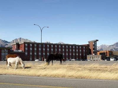 استونی ناکدا ریزرت اند کاسینو