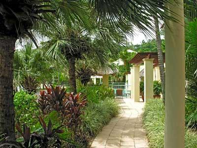 اسیا چانج بیچفرنت