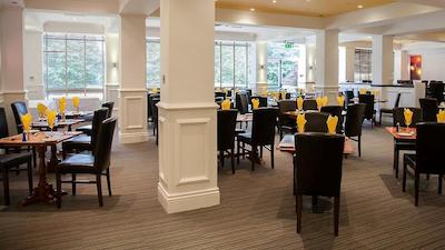 ادلید ریال کاچ متر این