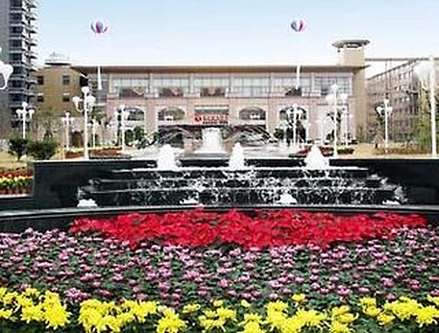 رامادا پلازا ووکسی