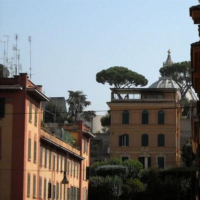 واتیکان واکیشن ب