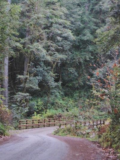 امریکاز بست والو این