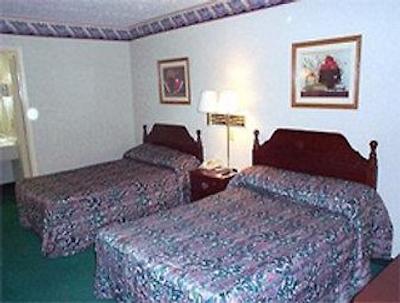 نایتز این پرو