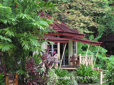 موتیارا بوراو ب ریزرت