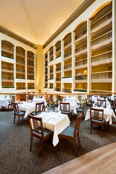 هلید این اُلد اسیدنی