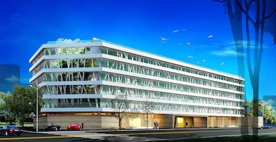 گوتل کپیتال