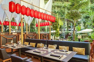 پارادیسوز کانکن