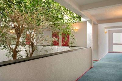 اوکس رلیز ورتز