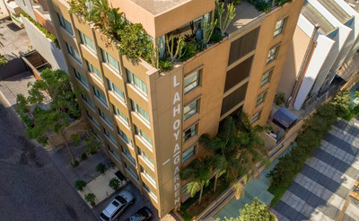 لاهیا گاردن