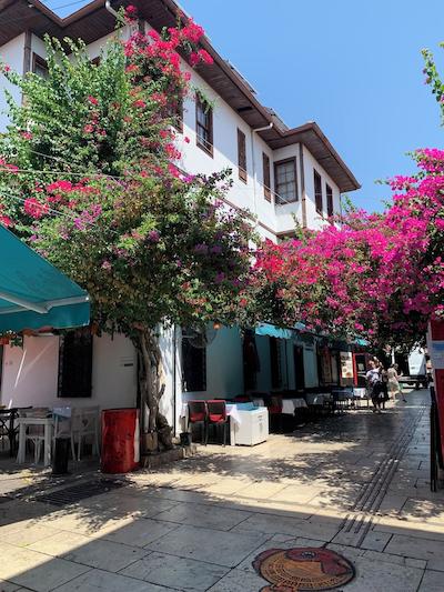 ساباه پانسیین