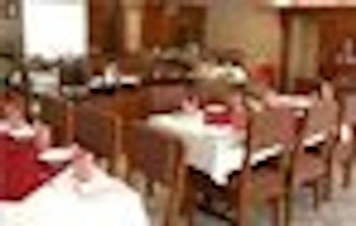 مایا اینترنشنال