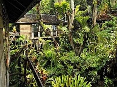 فرن پارادیس