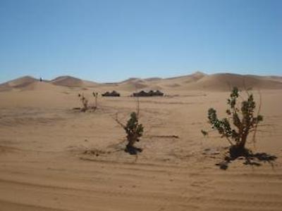 بیوواک دونز د چگاگا