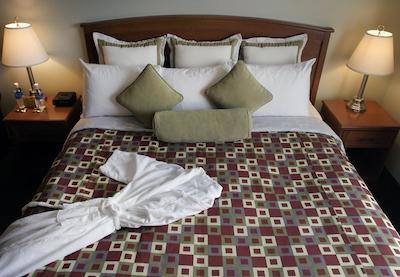 سرویس پلاس اینز اند سویتز