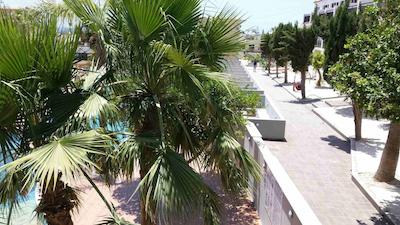 پامبز ناپا رکز