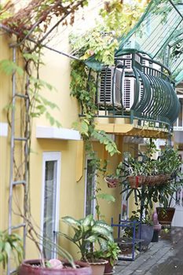 گولدن هوس اینترنیشنال