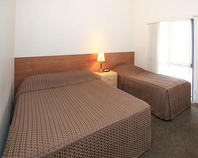 اکنو لج میلدورا