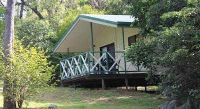 کاپریکرن کاوز