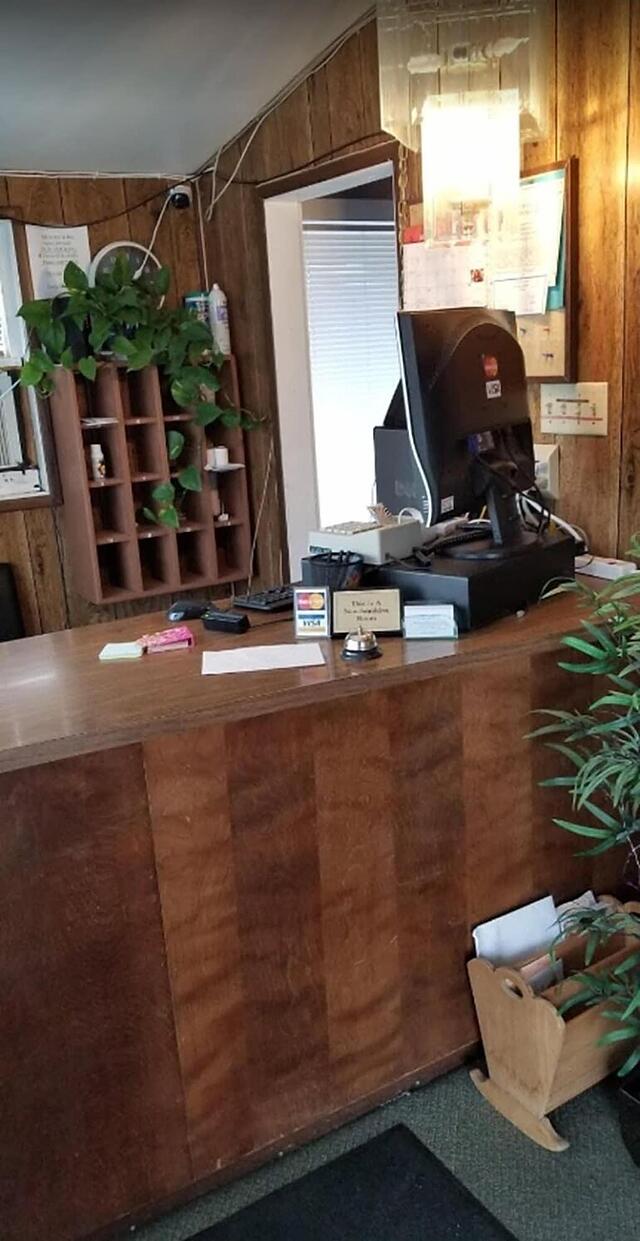 مدک این