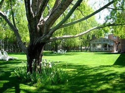 لا پسادا د مادرین