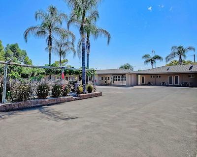 اکنو لج مری اسپا متر این