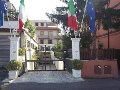 درمیر آلترو