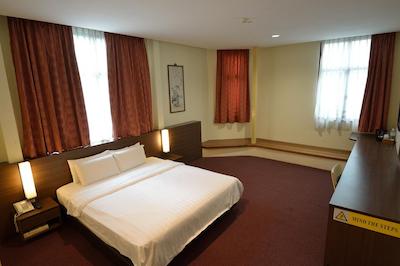 وی آی پی هتل سنگاپور