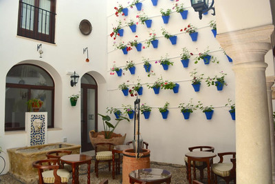 ماریسا