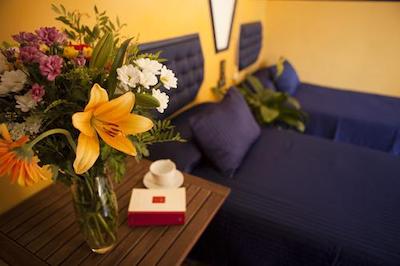 پنشن نووو پینو