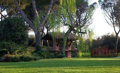 کاسال بلادنا