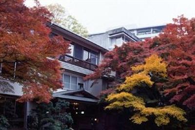 نجییا ریفوکاکو