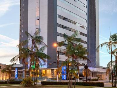 تولیپ این بلم هانگار