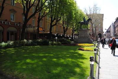 زانهتل تر وکسهی