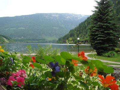 دری والی لاک چاتیو لتد