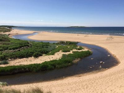 تیلباک هتل سور هتل کالکشن بای بست وسترن