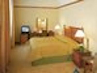 رادیسن بلو پلازا