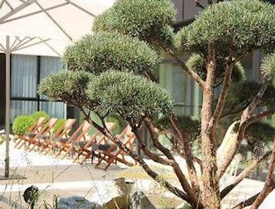 رامادا نورنبرگ پارختل